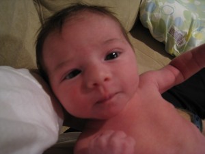 A close-up taken by Daddy...