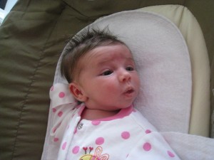 I just had a bath and Mommy & Daddy thought it would be funny to not brush my hair! Gee Thanks!